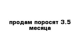 продам поросят 3.5 месяца